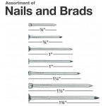 Qualihome Hardware Nail Assortment Kit, Includes Finish, Wire, Common, Brad and Picture Hanging Nails