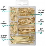 HangDone Nails Assortment 250-Pieces 4 Sizes, Brass Plated