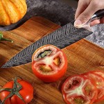 Chef Knife, TANSUNG Kitchen Knife 8 Inch Pro Chef's Knife Cooking Knife Ultra Sharp Knife for Home Restaurant Cookers with High Carbon Stainless Steel Ergonomic Wooden Handle and Elegant Gift Box