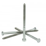 1/2 x 5-1/2" Hex Head Lag Bolt Screws 18-8 (304) Stainless Steel, Qty 10 by Bridge Fasteners