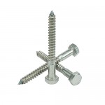 1/2 x 5-1/2" Hex Head Lag Bolt Screws 18-8 (304) Stainless Steel, Qty 10 by Bridge Fasteners